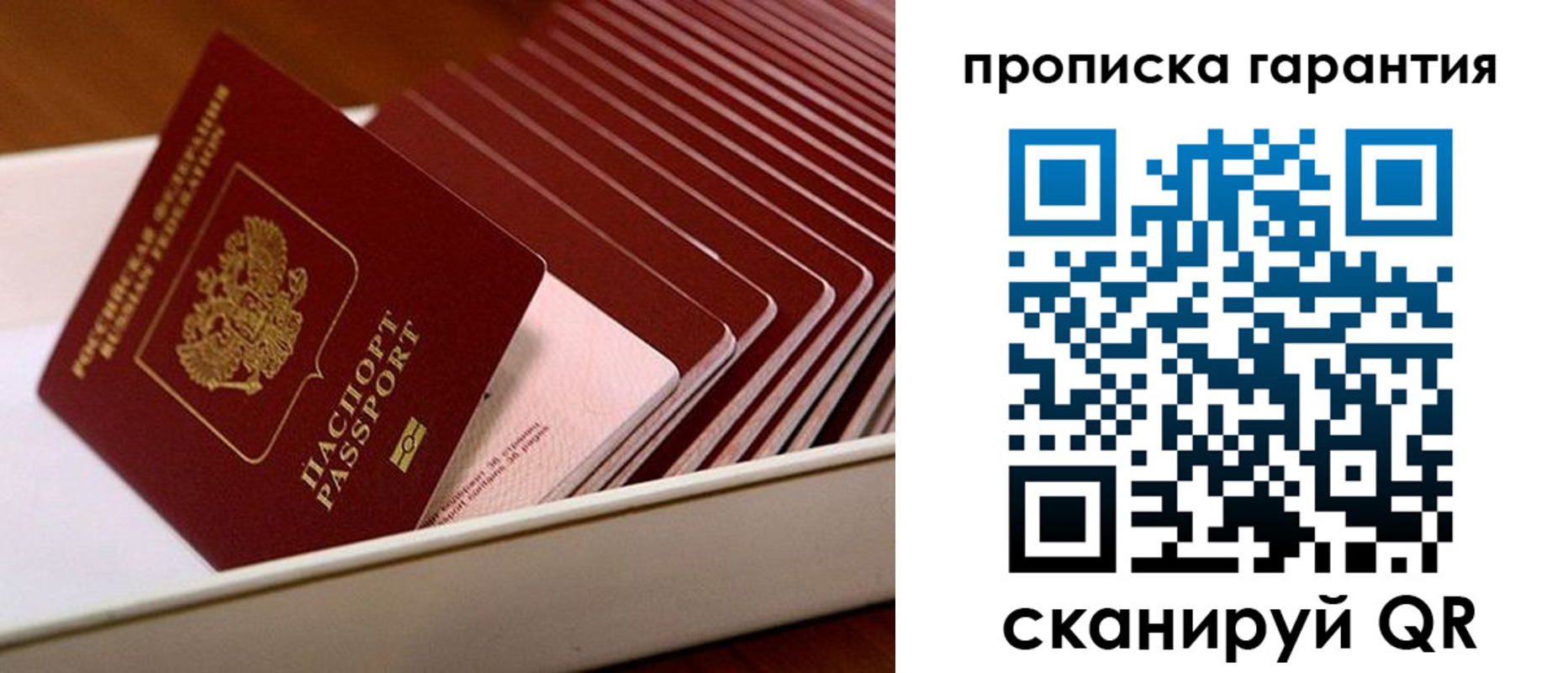 прописка поиск в Балашове